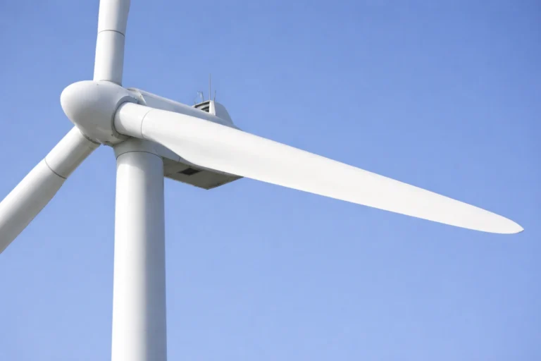 Canopy Tower and Wind Turbine